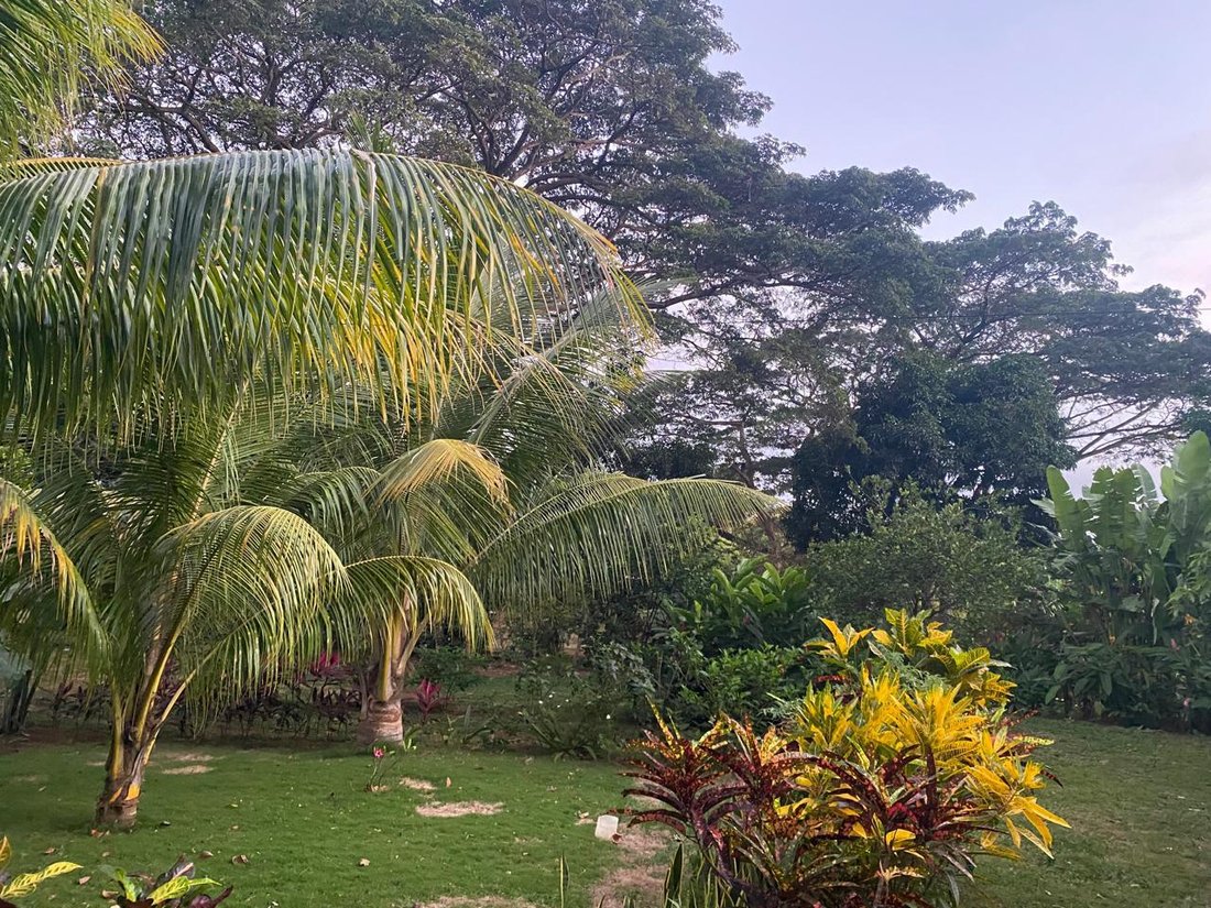 Land in Managua, Managua, Nicaragua 3 - 17250449