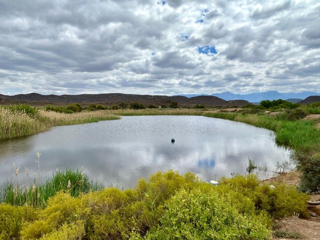 Farm Ranch in Johannesburg, Gauteng, South Africa 1 - 17252578