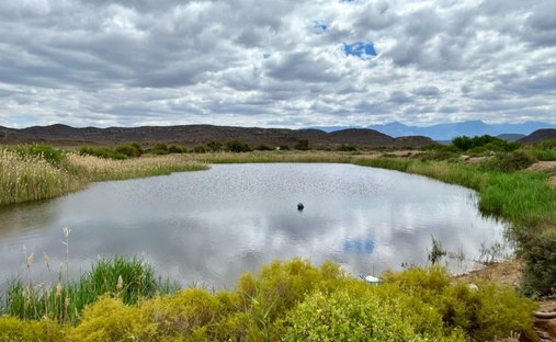 Farm Ranch in Ladismith, Western Cape, South Africa 1