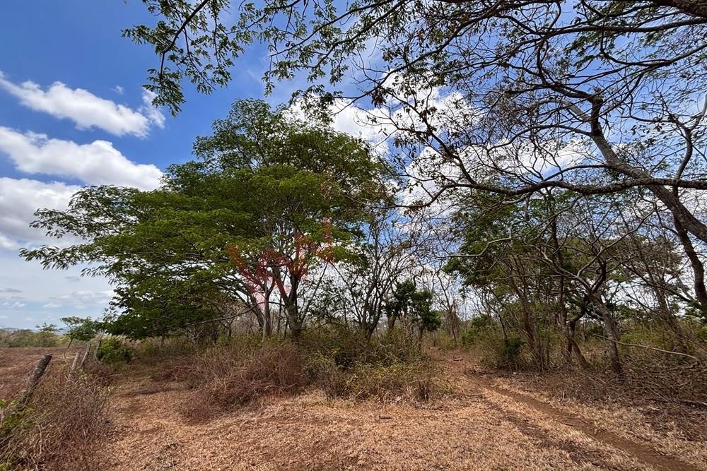 Land in Jinotepe, Carazo, Nicaragua 3 - 17249528