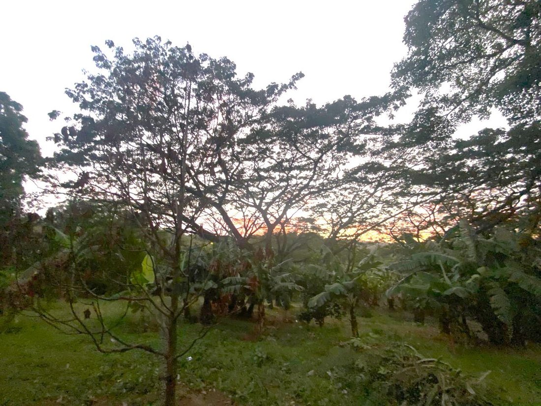 Land in Managua, Managua, Nicaragua 5 - 17250449