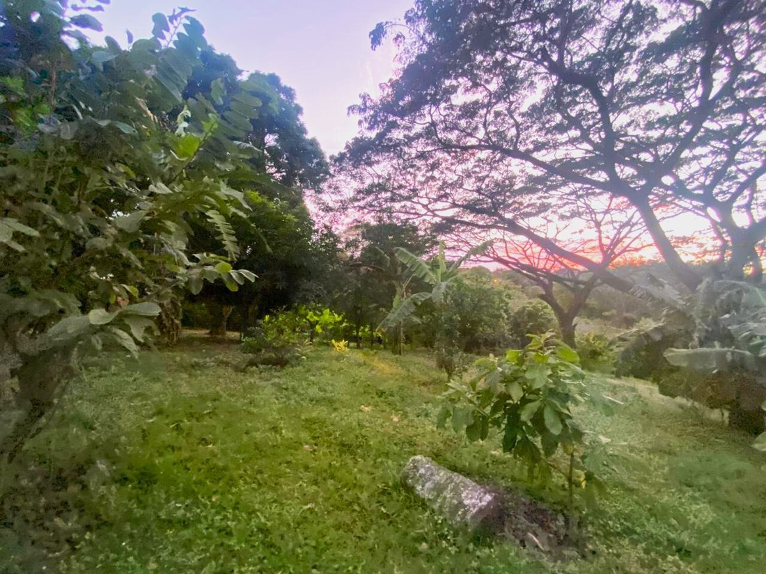 Land in Managua, Managua, Nicaragua 2 - 17250449