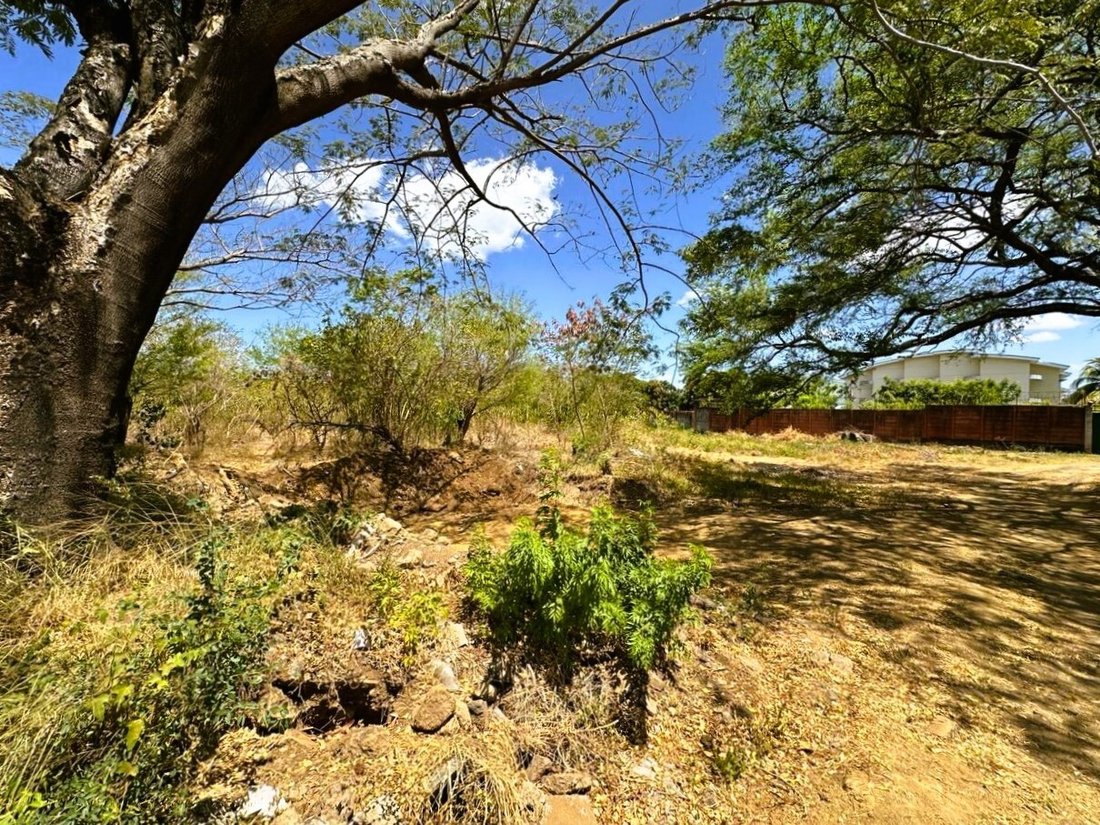 Land in Managua, Managua, Nicaragua 2 - 17249021