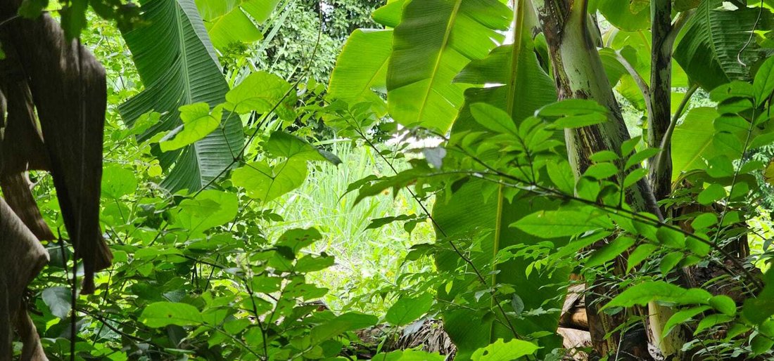 Land in Los Madrigales, Masaya, Nicaragua 2 - 17249863
