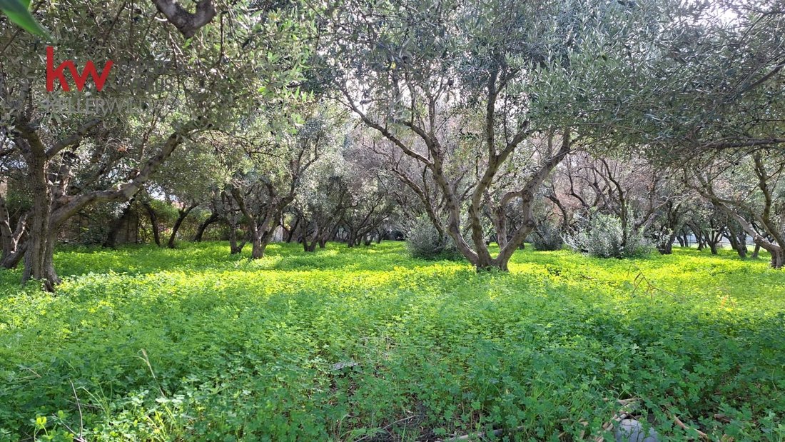 Land in Platanias, Greece 1 - 17248803