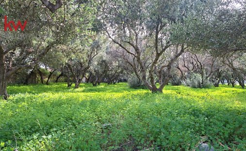 Land in Platanias, Greece 1