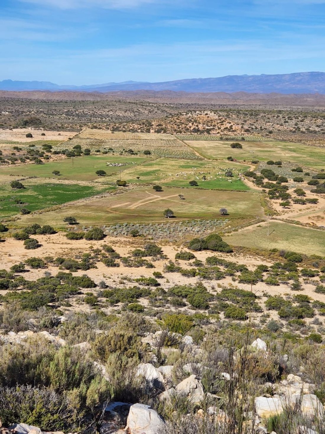Farm Ranch in Ladismith, Western Cape, South Africa 5 - 17251845