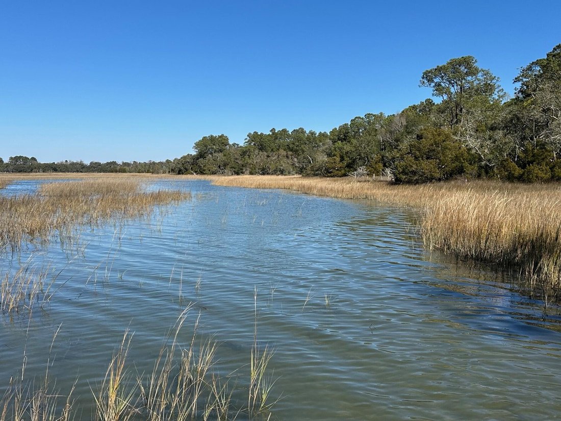 House in Wadmalaw Island, South Carolina, United States 4 - 17256436