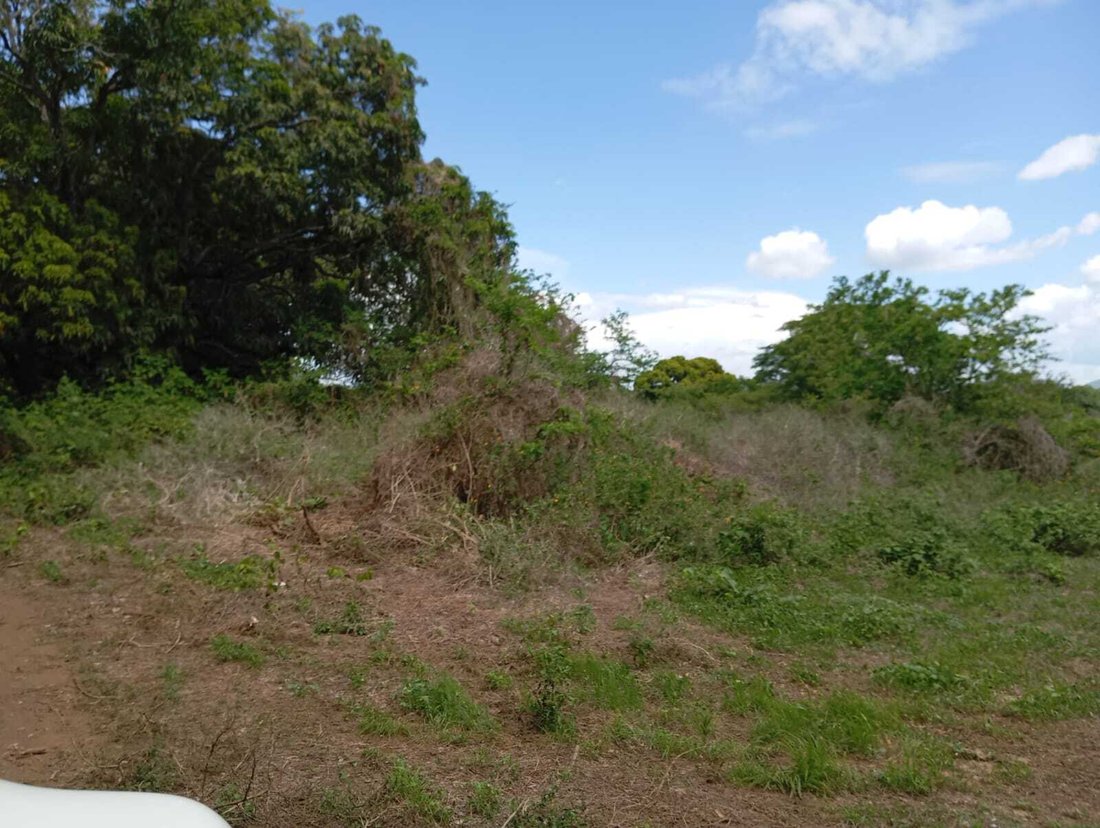 Farm Ranch in Montes de Oro, Masaya, Nicaragua 5 - 17250122