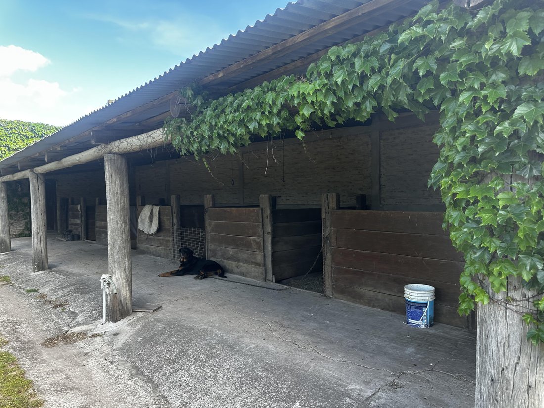 Farm Ranch in Torres, Buenos Aires Province, Argentina 5 - 17250798