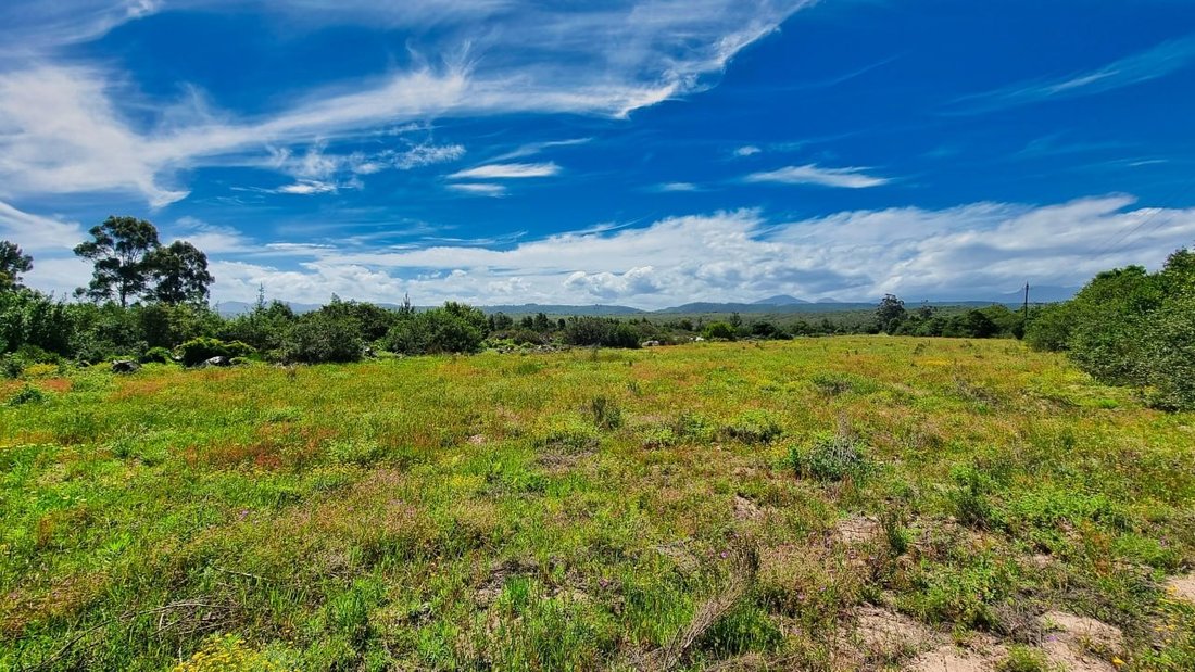 Farm Ranch in Johannesburg, Gauteng, South Africa 3 - 17251152