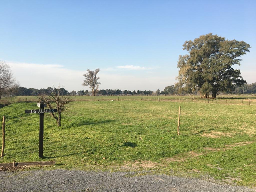 Farm Ranch in General Rodríguez, Buenos Aires Province, Argentina 5 - 17251230