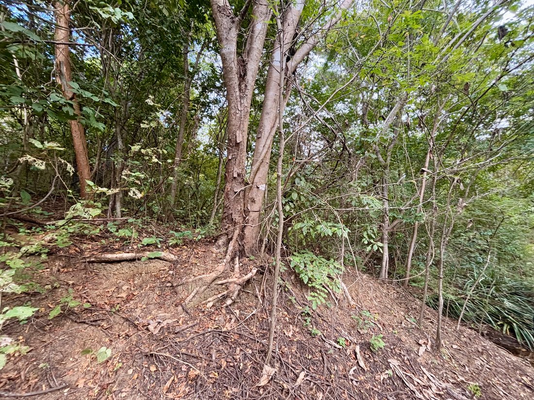 Land in Tola, Rivas, Nicaragua 5 - 17250417