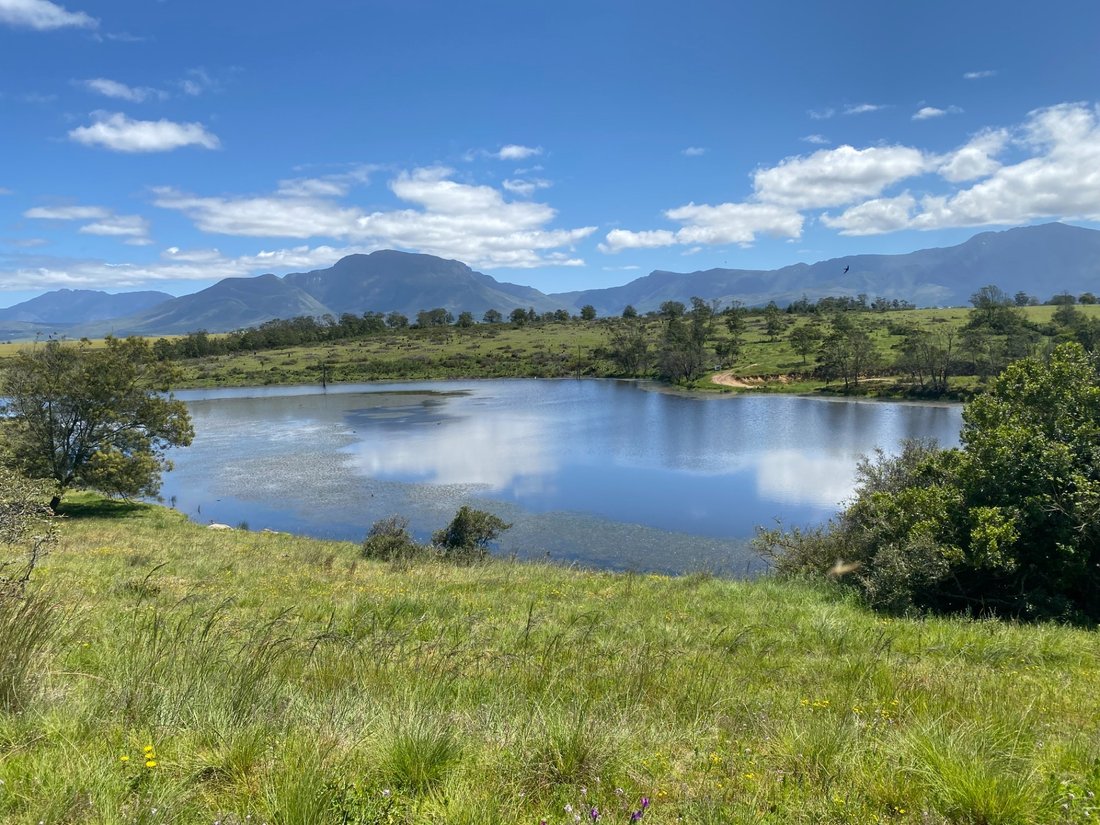 Farm Ranch in George, Western Cape, South Africa 1 - 17253685