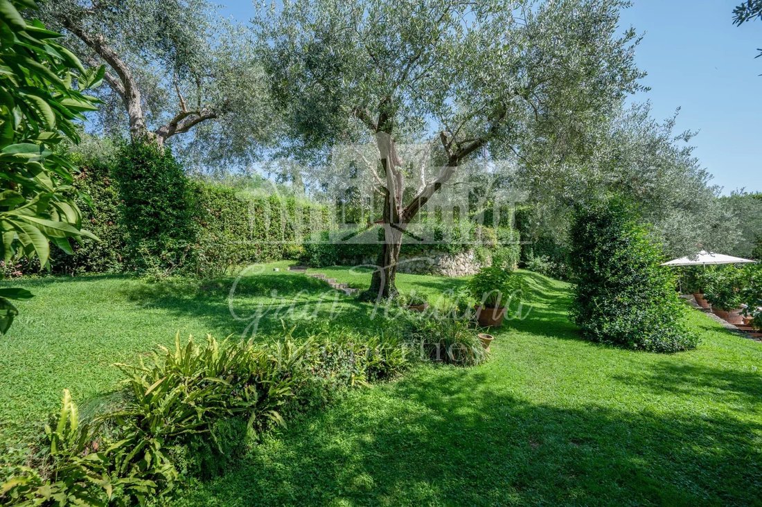 House in Camaiore, Tuscany, Italy 5 - 17248006