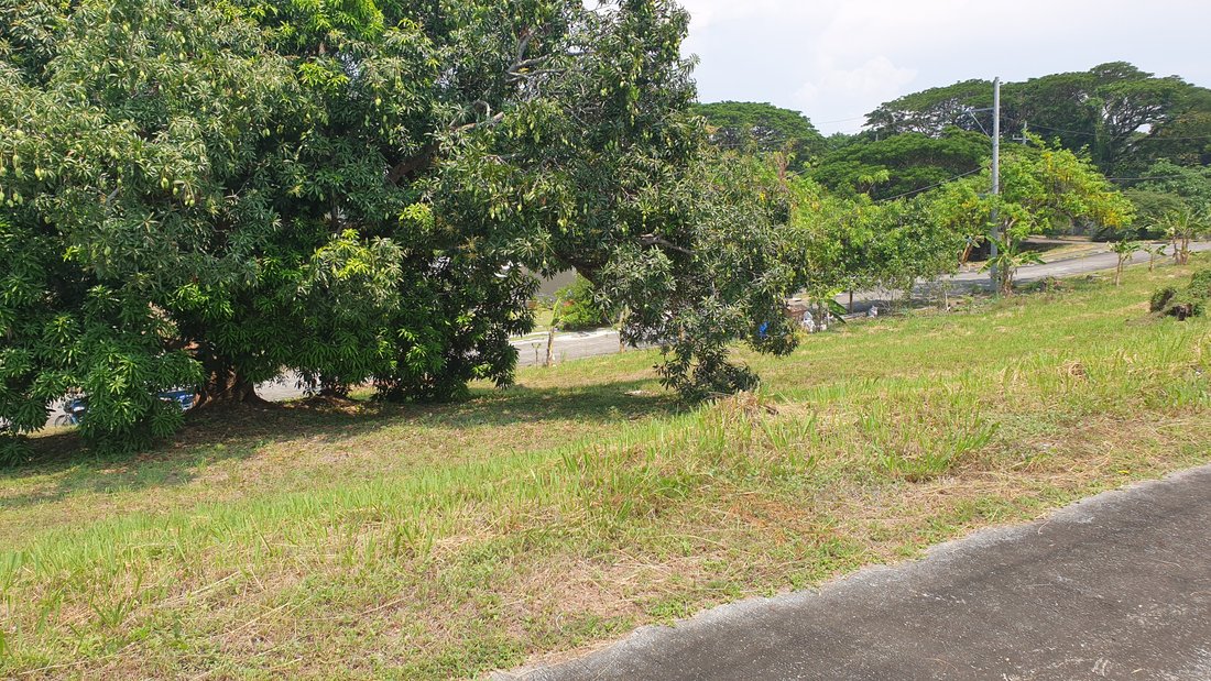 Land in Muntinlupa, Metro Manila, Philippines 5 - 17252151