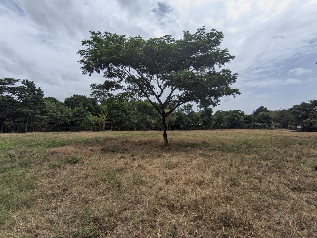 Land in Leonel Reynosa, Managua, Nicaragua 2 - 17249553