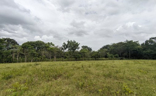 House in Leonel Reynosa, Managua, Nicaragua 1