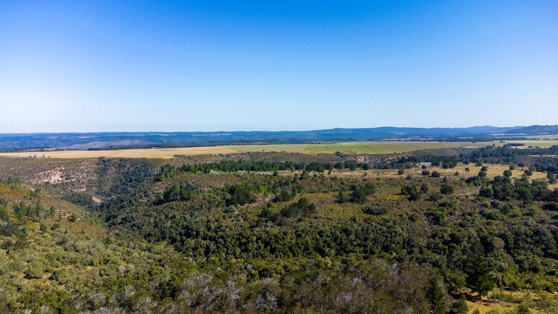 Farm Ranch in Wittedrift, Western Cape, South Africa 2 - 17253633