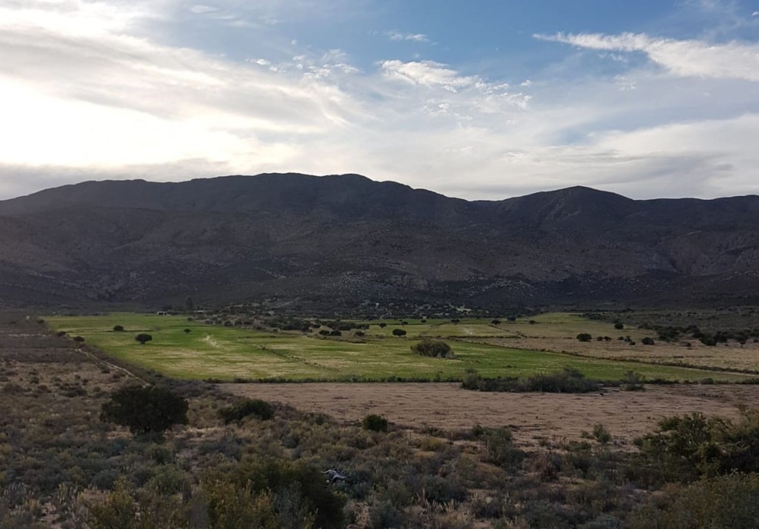 Farm Ranch in Ladismith, Western Cape, South Africa 1 - 17251845