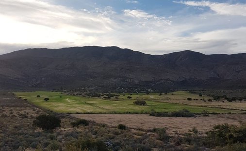 Farm Ranch in Ladismith, Western Cape, South Africa 1
