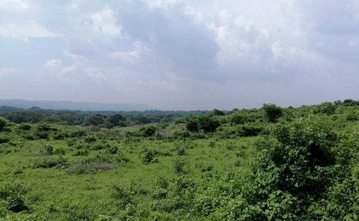 Farm Ranch in Managua, Departamento Managua, Nicaragua 1