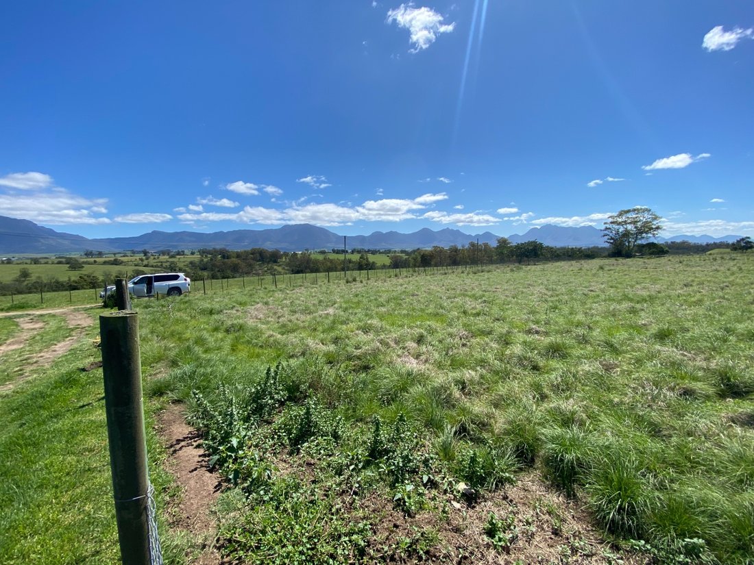 Farm Ranch in George, Western Cape, South Africa 4 - 17253685