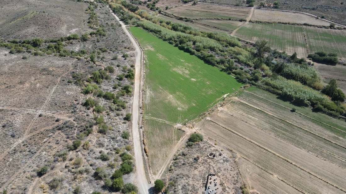 Farm Ranch in Oudtshoorn Local Municipality, Western Cape, South Africa 3 - 17252729
