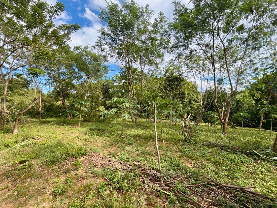 Land in Tola, Rivas, Nicaragua 4 - 17249228
