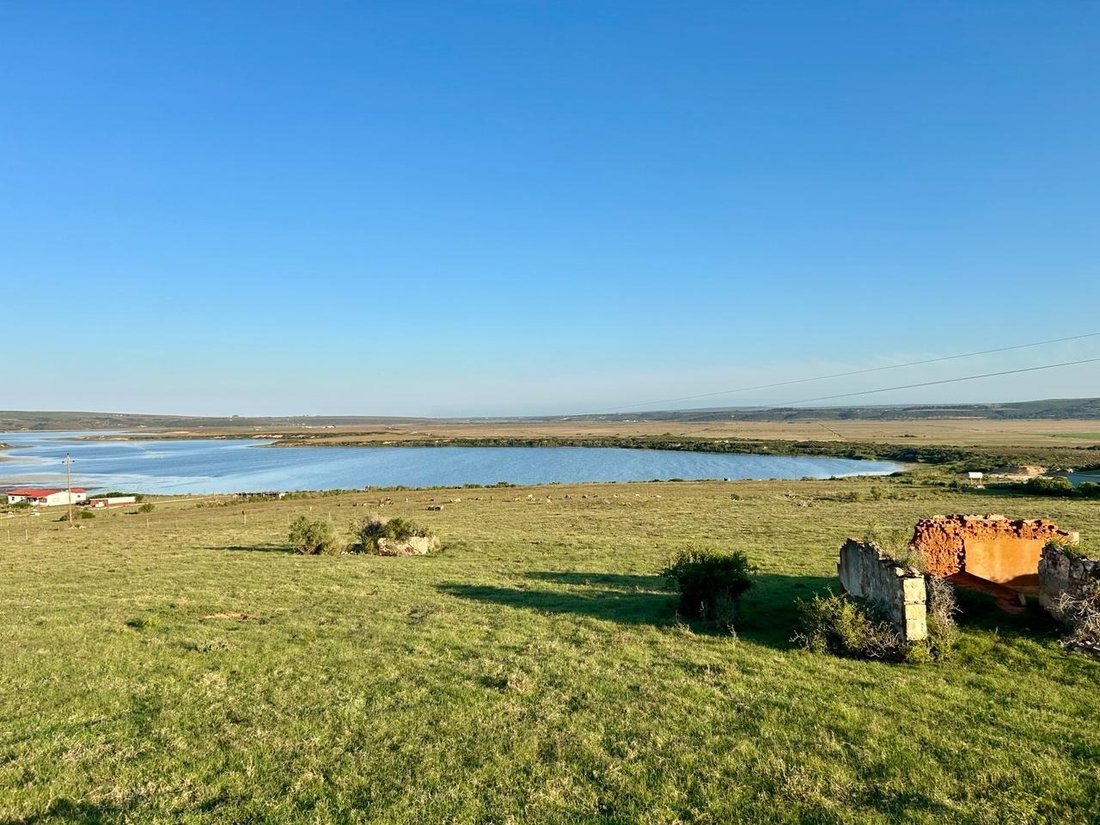 Farm Ranch in Johannesburg, Gauteng, South Africa 1 - 17251165