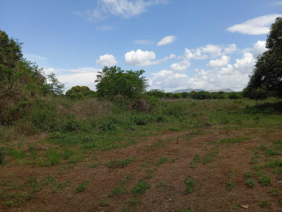 Farm Ranch in Montes de Oro, Masaya, Nicaragua 3 - 17250122