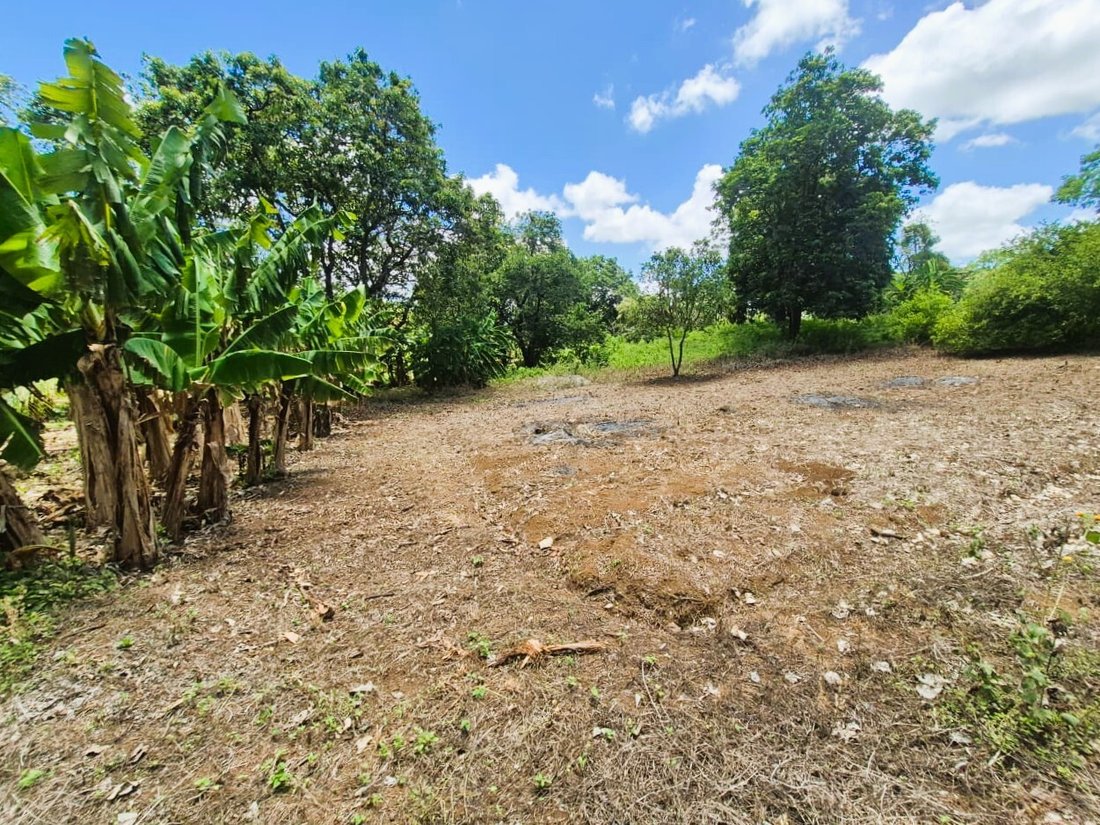 Land in Managua, Managua, Nicaragua 3 - 17249489