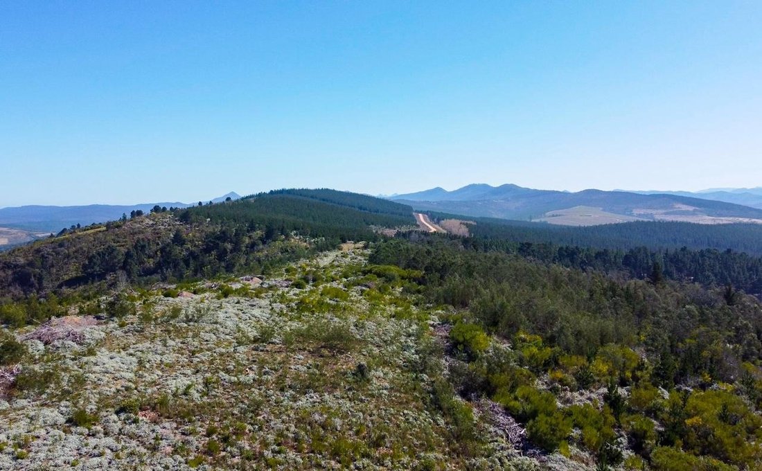 Farm Ranch in Wittedrift, Western Cape, South Africa 1 - 17253633