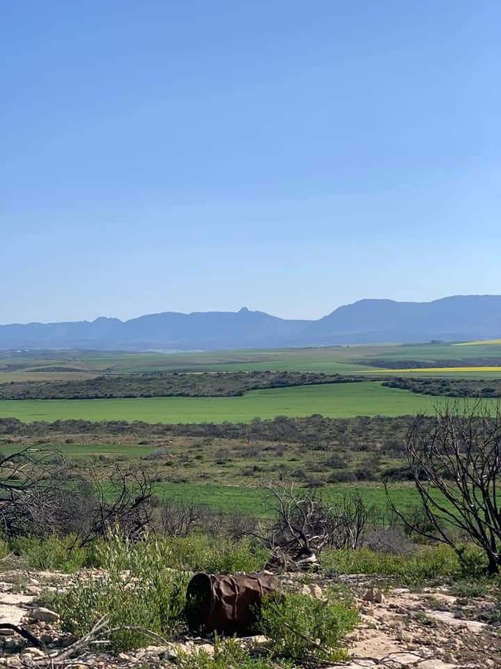 Farm Ranch in Johannesburg, Gauteng, South Africa 2 - 17252145