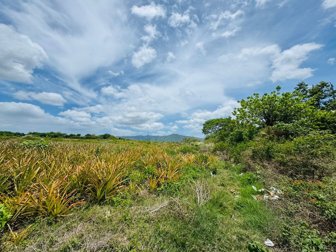 Land in Valentín Barrios, Managua, Nicaragua 4 - 17250045