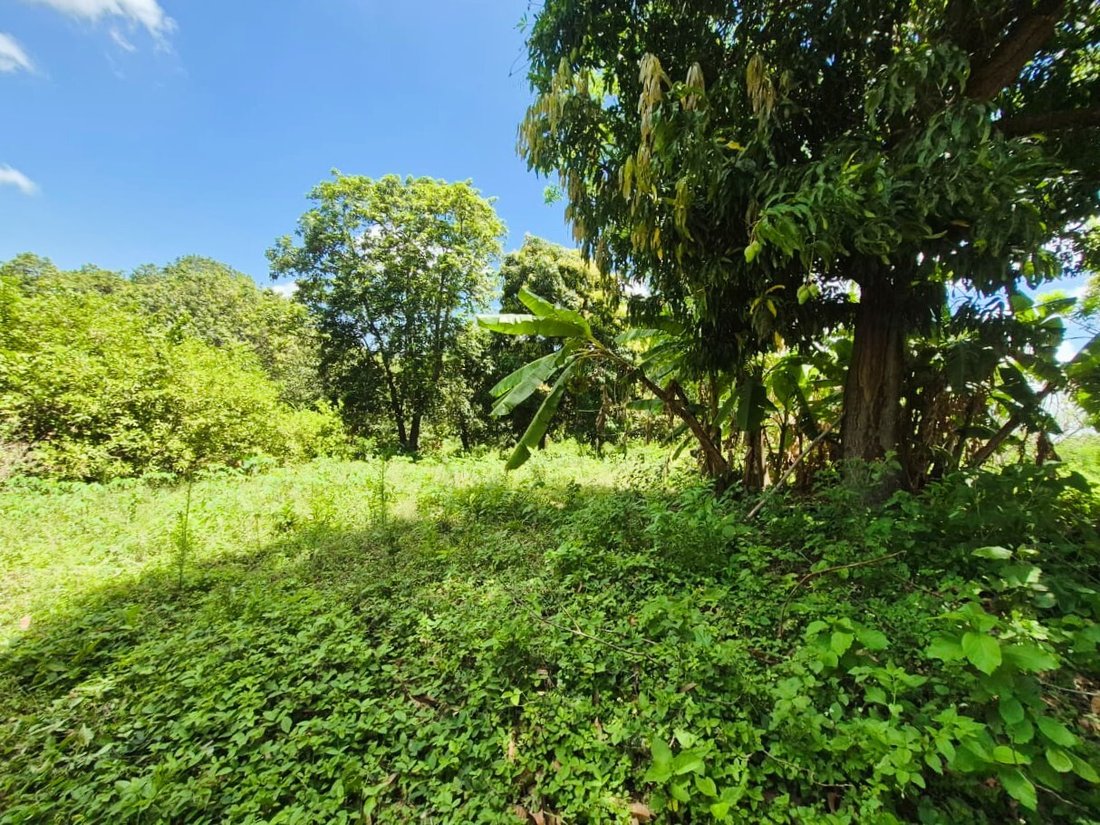Land in Managua, Managua, Nicaragua 5 - 17249489