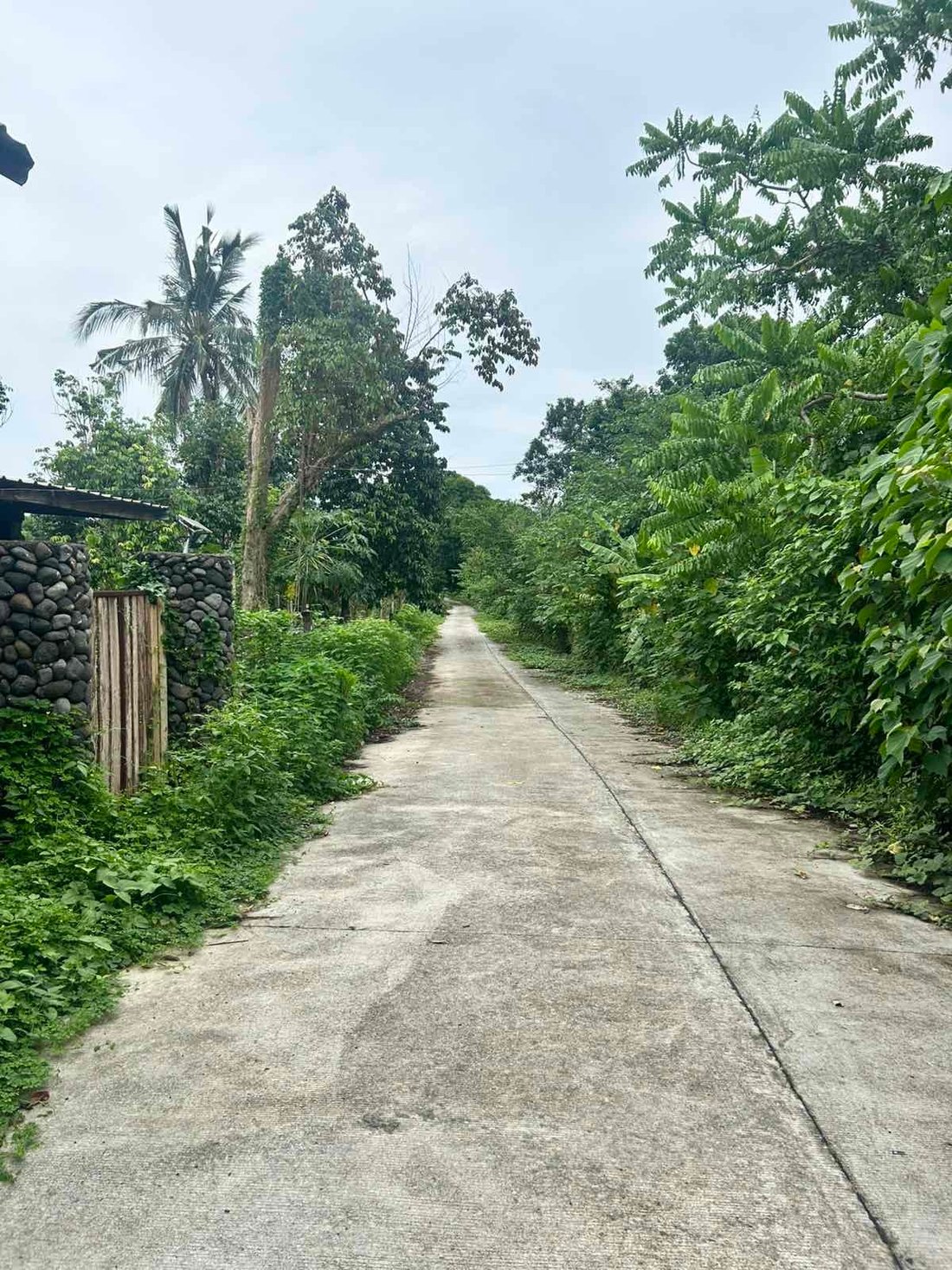 Land in Alaminos, Calabarzon, Philippines 5 - 17251778