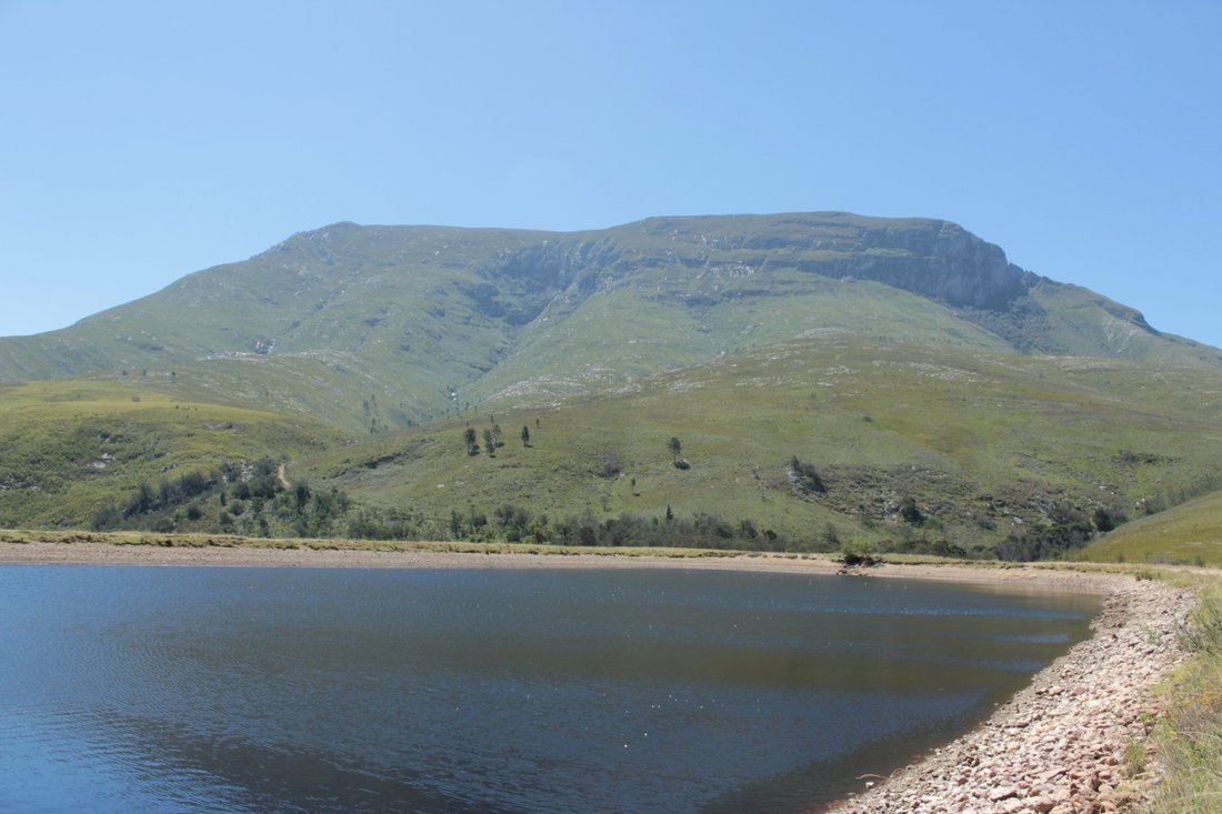 Farm Ranch in Johannesburg, Gauteng, South Africa 2 - 17250304