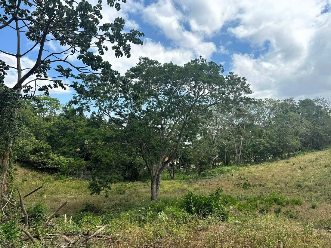 Land in Managua, Managua, Nicaragua 3 - 17249463