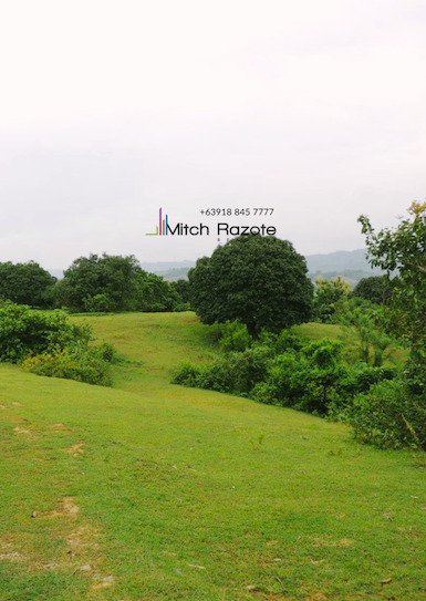 Farm Ranch in Rosario, Ilocos Region, Philippines 4 - 17251783
