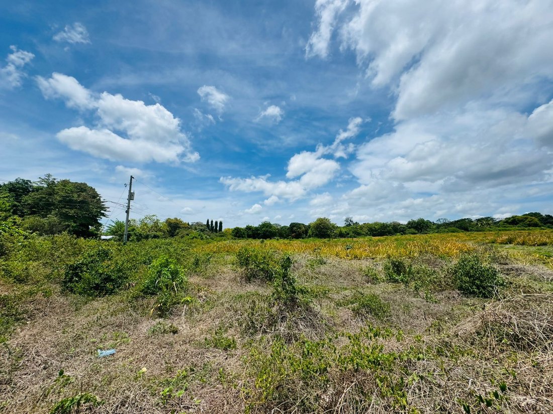 Land in Valentín Barrios, Managua, Nicaragua 3 - 17250045