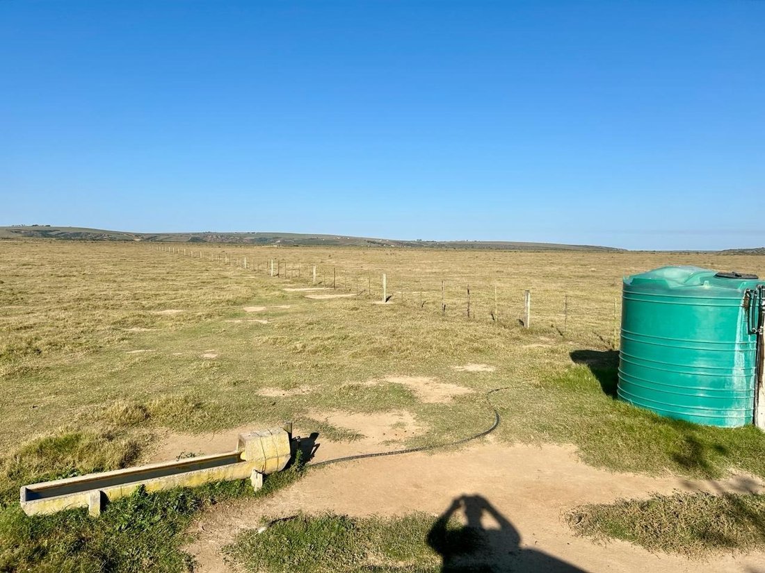 Farm Ranch in Johannesburg, Gauteng, South Africa 5 - 17251165