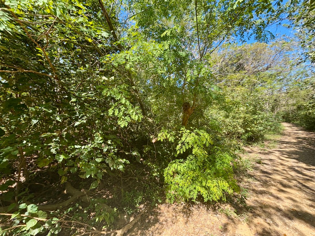 Land in El Astillero, Rivas, Nicaragua 4 - 17250650