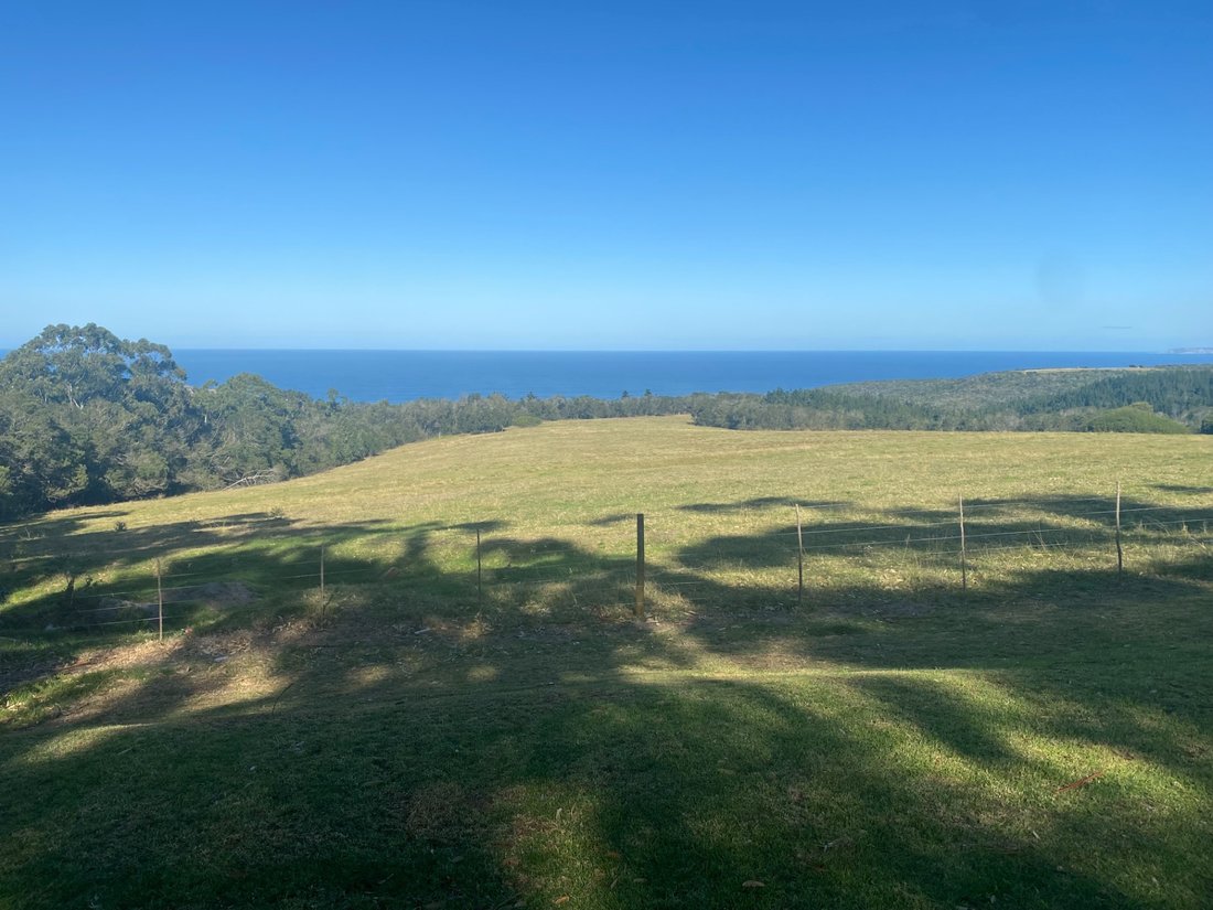 Farm Ranch in Herolds Bay, Western Cape, South Africa 5 - 17253679