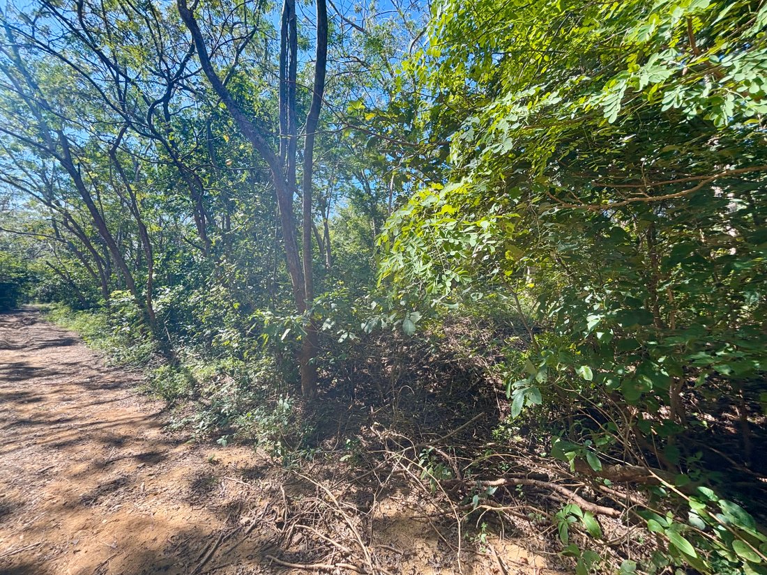 Land in El Astillero, Rivas, Nicaragua 5 - 17250650