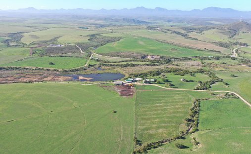 Farm Ranch in Johannesburg, Gauteng, South Africa 1