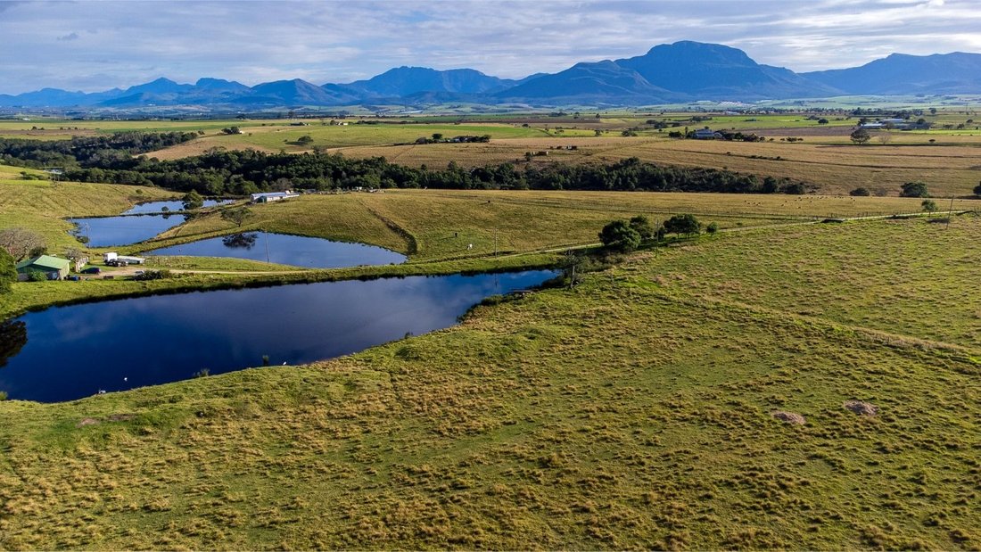 Farm Ranch in Johannesburg, Gauteng, South Africa 5 - 17251011