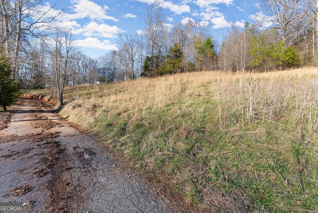 Farm Ranch in Lula, Georgia, United States 2 - 17248418