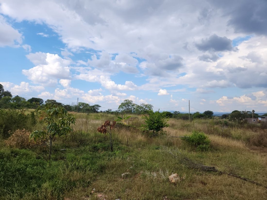 Farm Ranch in Polokwane, Limpopo, South Africa 5 - 17253317