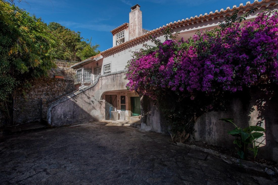 Farm Ranch in Colares, Lisbon, Portugal 2 - 17250872